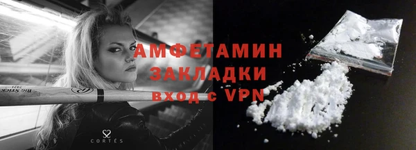 индика Михайловка