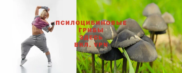 индика Михайловка