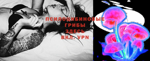 индика Михайловка