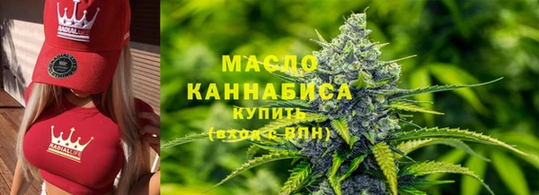 индика Михайловка