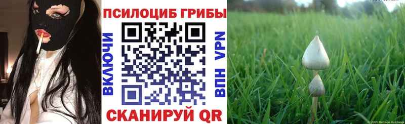 Псилоцибиновые грибы мухоморы  где найти   Николаевск 